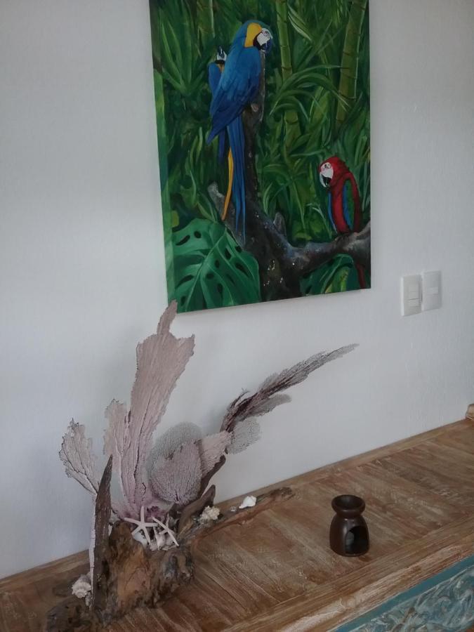 普拉亚卡门Casa Rioja Playacar住宿加早餐旅馆 外观 照片