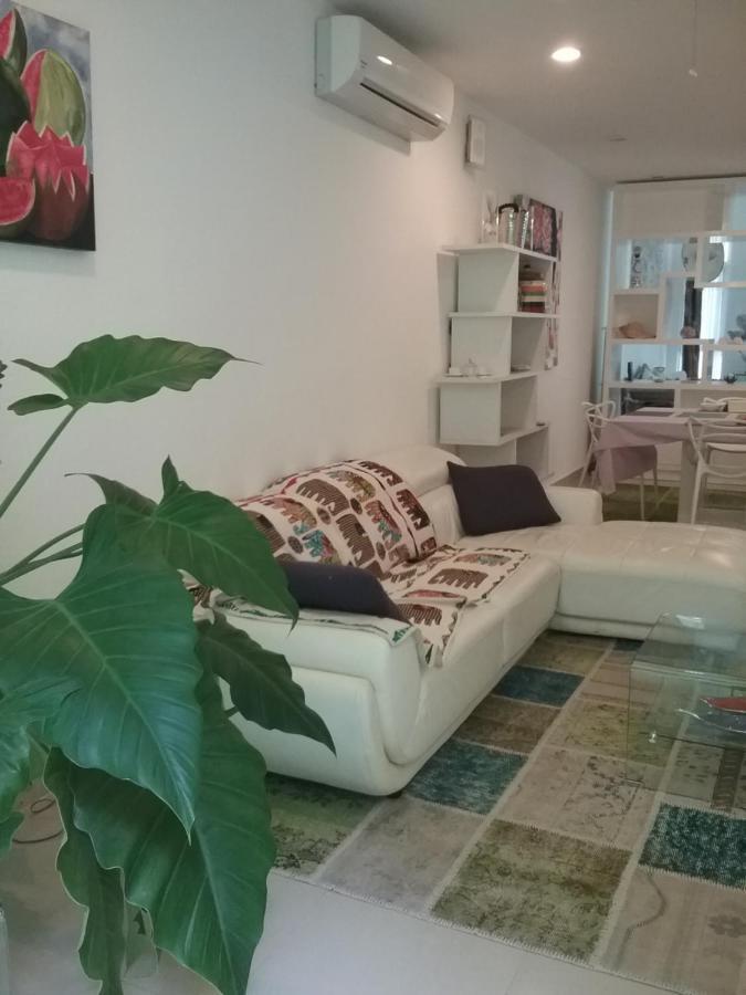 普拉亚卡门Casa Rioja Playacar住宿加早餐旅馆 外观 照片